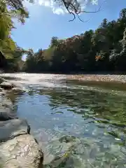 伊勢神宮内宮（皇大神宮）の自然