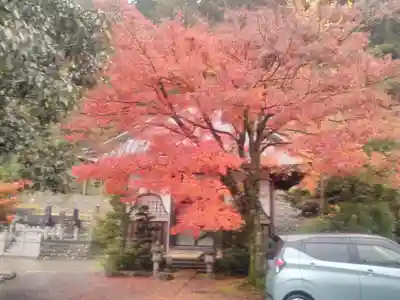 円福寺のその他建物