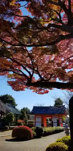 國分寺(千葉県)