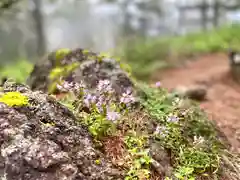 高峯神社(大室神社奥宮)の自然