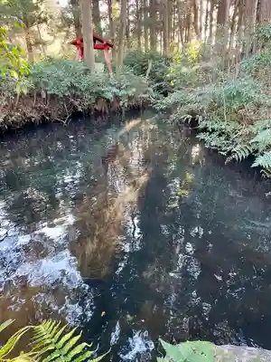 白髭神社(栃木県)