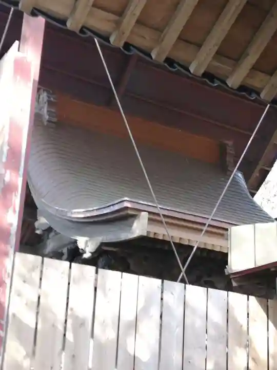 鹿島神社の本殿・本堂