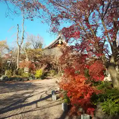 遍照院のその他建物
