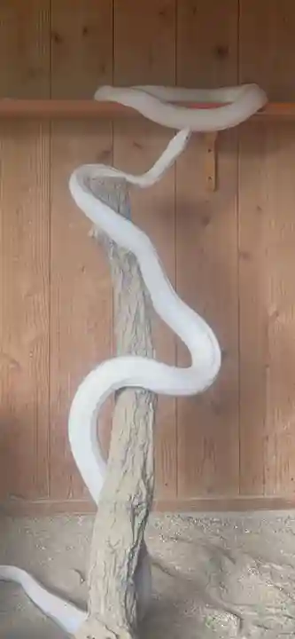 赤水蛇石神社(熊本県)