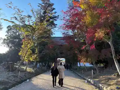 醍醐寺(京都府)