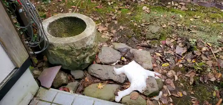 聖福寺(岩手県)