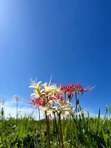 古町豊受大神宮(長野県)
