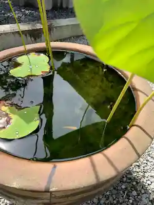 玉塔院(栃木県)