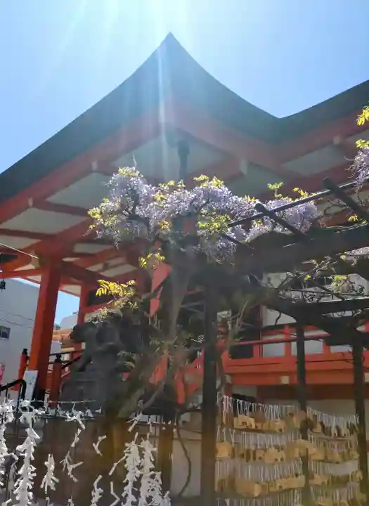 善國寺(東京都)