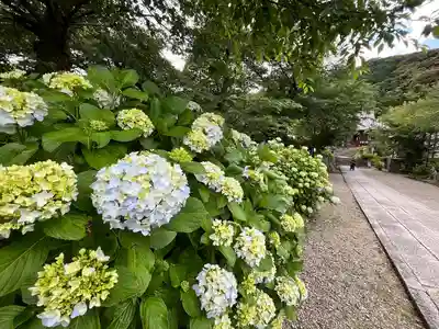 矢田寺(奈良県)