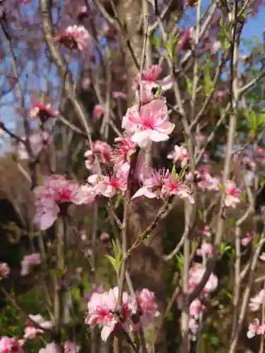 常泉寺(神奈川県)