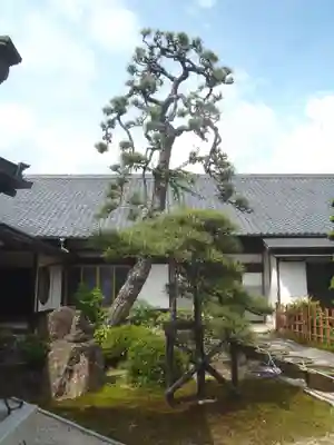 盛巌寺(岐阜県)