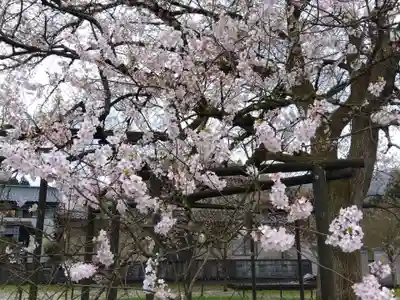 霊泉寺(福井県)