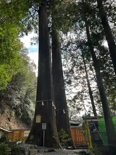 丹生川上神社（中社）(奈良県)