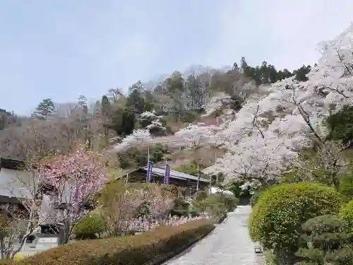 地蔵寺の庭園