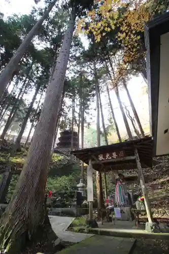 安楽寺(長野県)