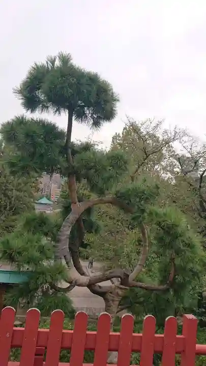 清水観音堂の景色