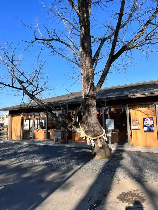 津島神社(宮城県)