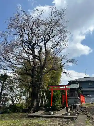 稲荷神社(神奈川県)