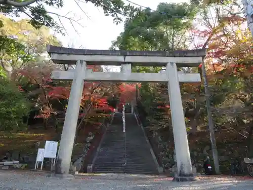 四條畷神社の鳥居