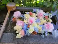 本郷氷川神社(東京都)