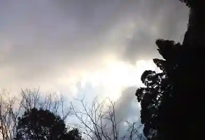 一本杉神社(島根県)