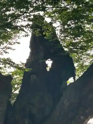 秩父今宮神社の{uncategorized: "未分類", other: "その他", undefined: "問題あり", building: "その他建物", grave: "お墓", sacred_gate: "鳥居", guardian: "狛犬", statue: "像", buddha: "仏像", history: "歴史", nature: "自然", garden: "庭園", animal: "動物", pagoda: "塔", temizu: "手水舎", mountain_gate: "山門・神門", sanctuary: "本殿・本堂", subordinate: "末社・摂社", art: "芸術", scenery: "景色", jizo: "地蔵", ema: "絵馬", goshuin: "御朱印", omikuji: "おみくじ", items: "授与品その他", amulet: "お守り", goshuincho: "御朱印帳", eats: "食事", festival: "お祭り", votive_dance: "神楽", shichigosan: "七五三参", wedding: "結婚式", experience: "体験その他", initially: "初詣", around: "周辺", anti_infection: "感染症対策"}
