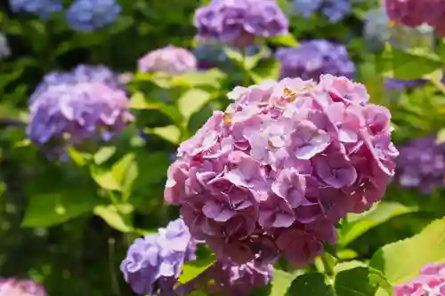  智積院(京都府)