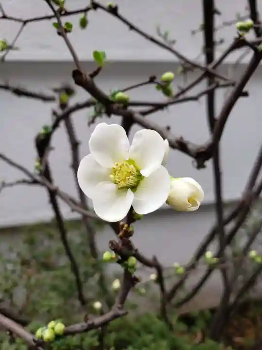 一乗寺(東京都)