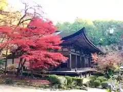 金剛輪寺の本殿