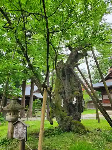 蠶養國神社(福島県)