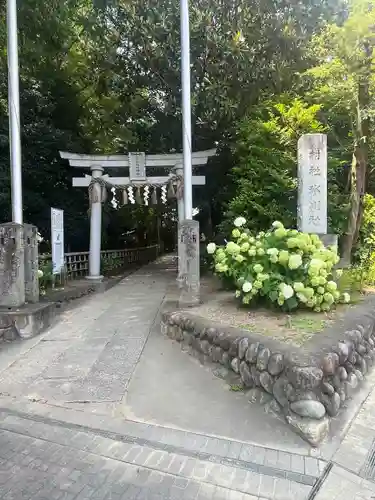 北本氷川神社(埼玉県)
