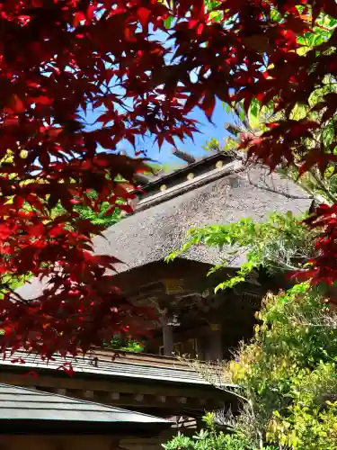 大洗磯前神社(茨城県)