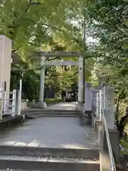 松戸神社の鳥居