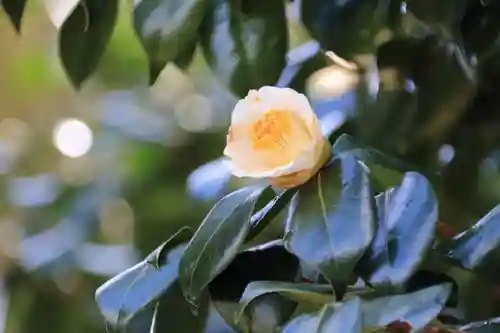 正観音堂の自然