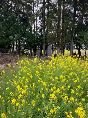 温泉神社(栃木県)