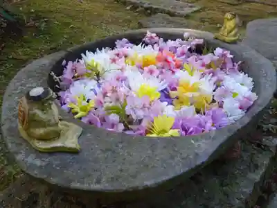かっぱの寺 栖足寺(静岡県)