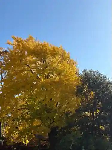 高徳院(神奈川県)