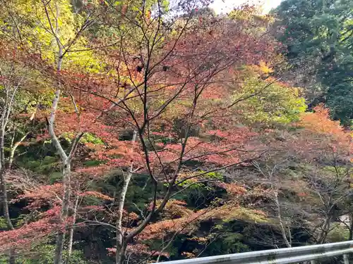 鰐淵寺(島根県)