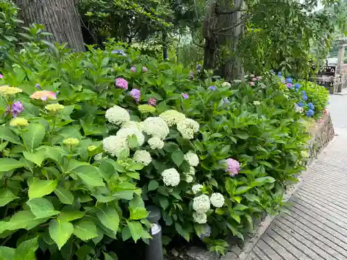 勝尾寺(大阪府)