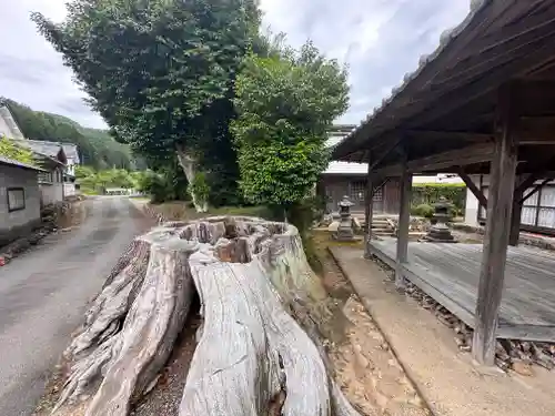 吉備津神社(京都府)