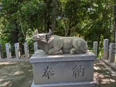 白山神社(二子町)の狛犬