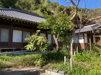 円覚寺の{uncategorized: "未分類", other: "その他", undefined: "問題あり", building: "その他建物", grave: "お墓", sacred_gate: "鳥居", guardian: "狛犬", statue: "像", buddha: "仏像", history: "歴史", nature: "自然", garden: "庭園", animal: "動物", pagoda: "塔", temizu: "手水舎", mountain_gate: "山門・神門", sanctuary: "本殿・本堂", subordinate: "末社・摂社", art: "芸術", scenery: "景色", jizo: "地蔵", ema: "絵馬", goshuin: "御朱印", omikuji: "おみくじ", items: "授与品その他", amulet: "お守り", goshuincho: "御朱印帳", eats: "食事", festival: "お祭り", votive_dance: "神楽", shichigosan: "七五三参", wedding: "結婚式", experience: "体験その他", initially: "初詣", around: "周辺", anti_infection: "感染症対策"}