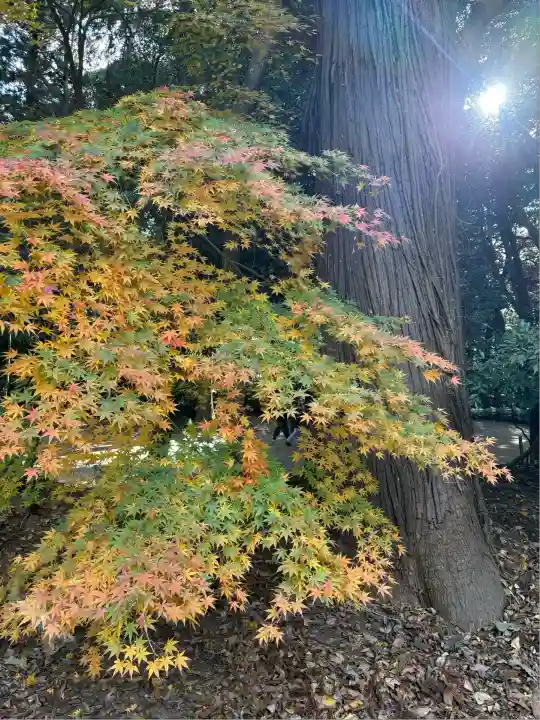 鹿島神宮(茨城県)