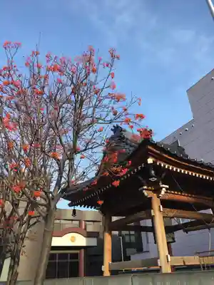 覚王寺の自然