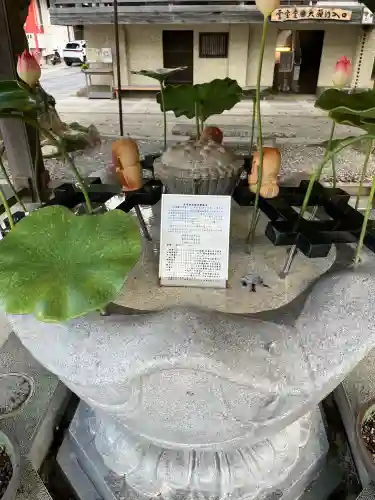 金剛宝寺（紀三井寺）(和歌山県)