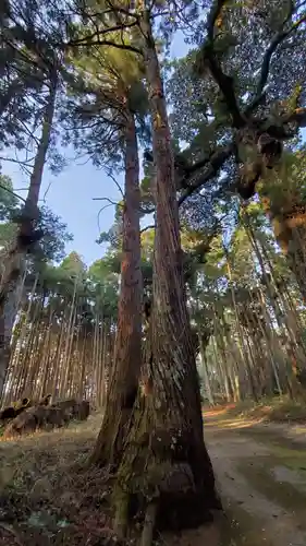 六所神社の自然