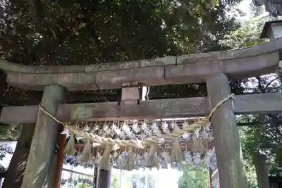 川越氷川神社(埼玉県)