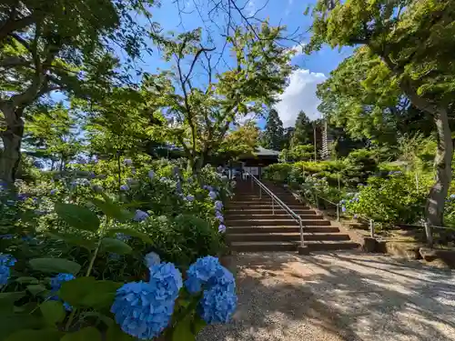 本土寺の本殿・本堂