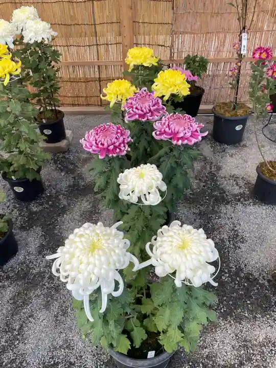 本願寺(西本願寺)(京都府)